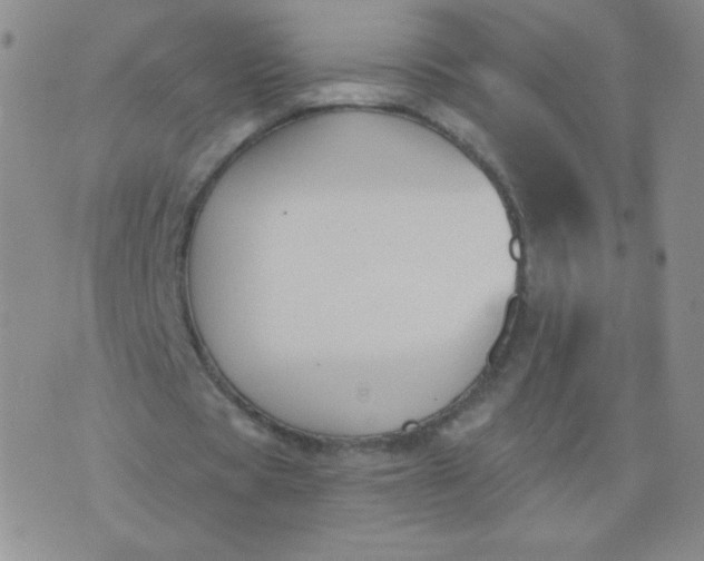 X0000076220529200610122052