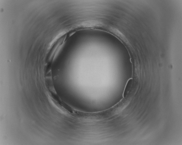 X0000076220530200610122052