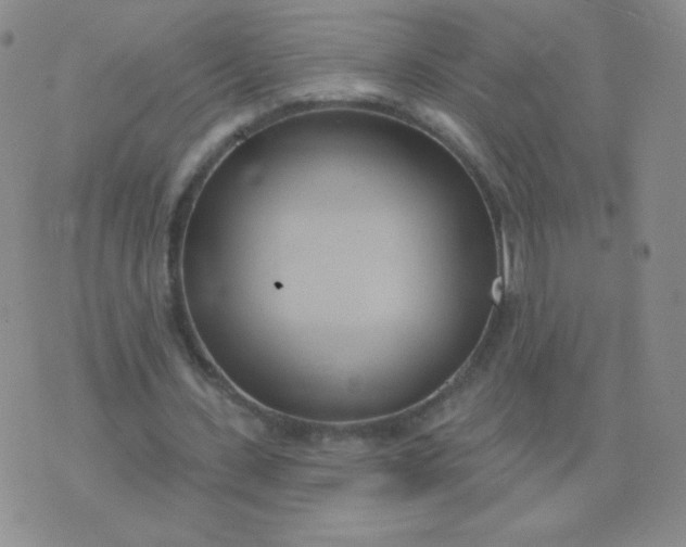 X0000076220531200610122052