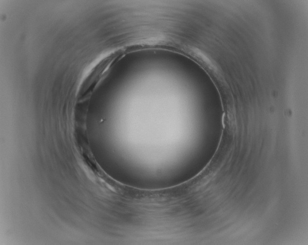 X0000076220532200610122052