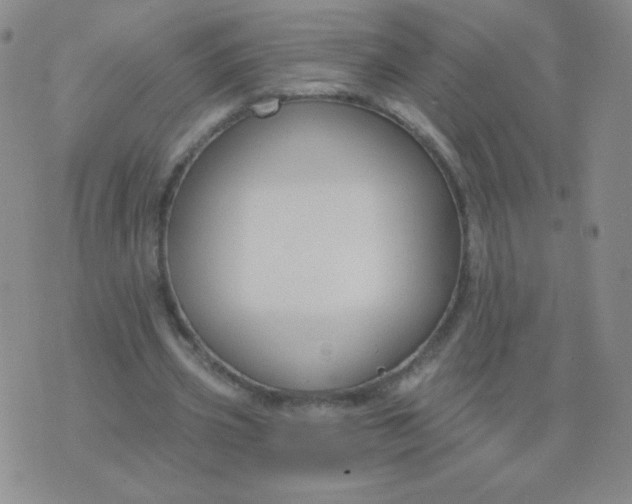 X0000076220533200610122052