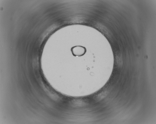 X0000076220534200610122052