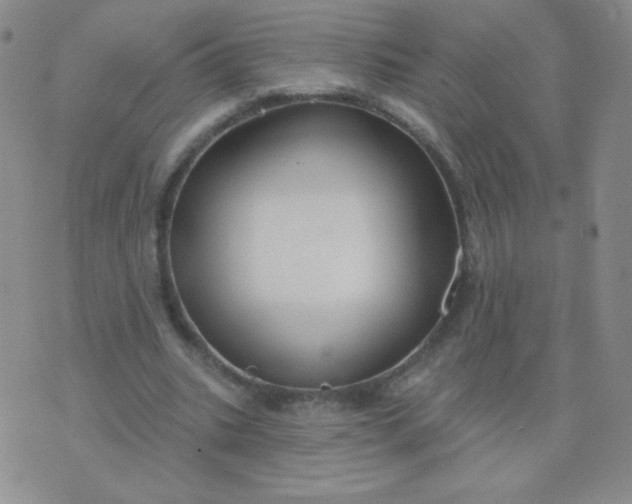 X0000076220535200610122052