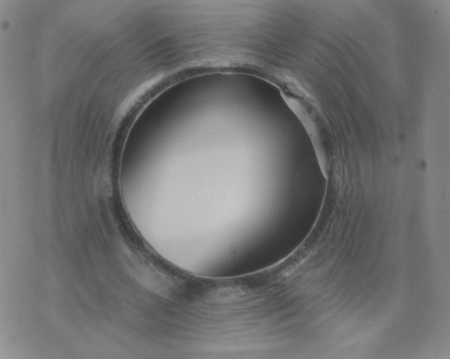 X0000076220536200610122052