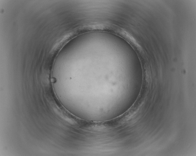 X0000076220537200610122052