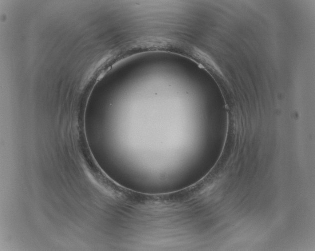 X0000076220538200610122052