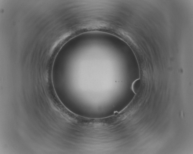 X0000076220539200610122052