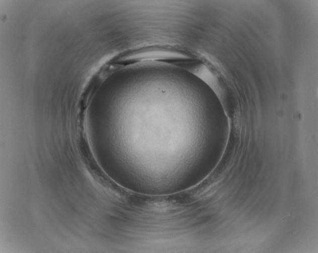 X0000076220540200610122052