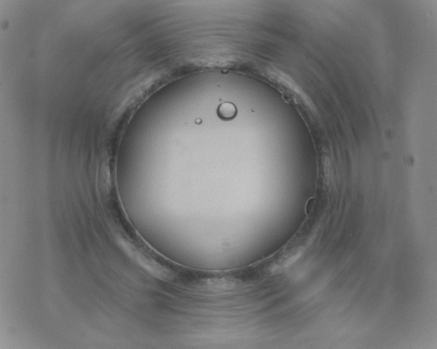 X0000076220541200610122052