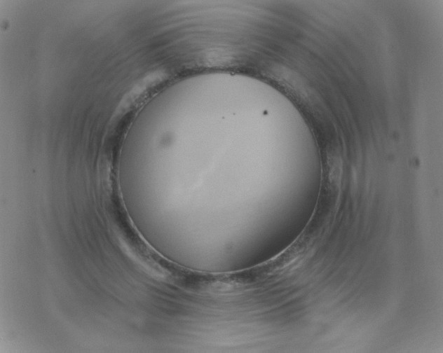 X0000076220542200610122052