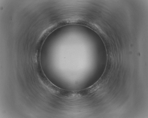 X0000076220543200610122052