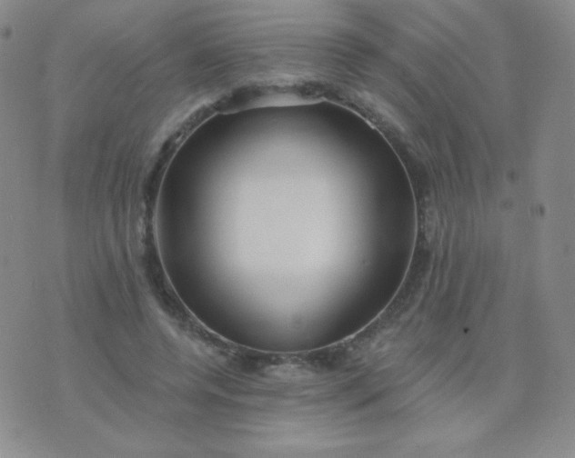 X0000076220544200610122052