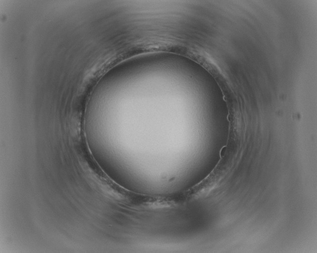 X0000076220545200610122052