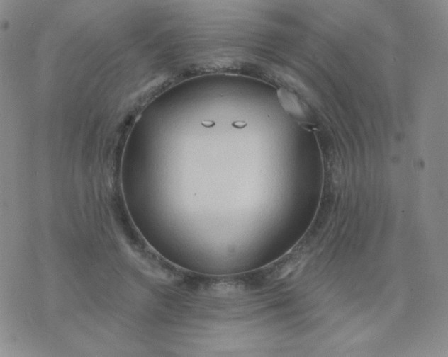 X0000076220546200610122052