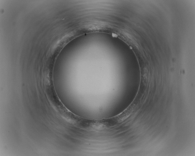 X0000076220547200610122052