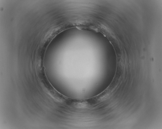 X0000076220548200610122052