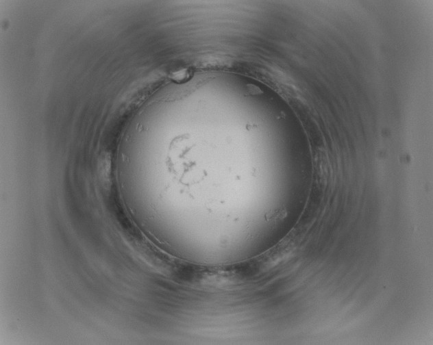 X0000076220550200610122052