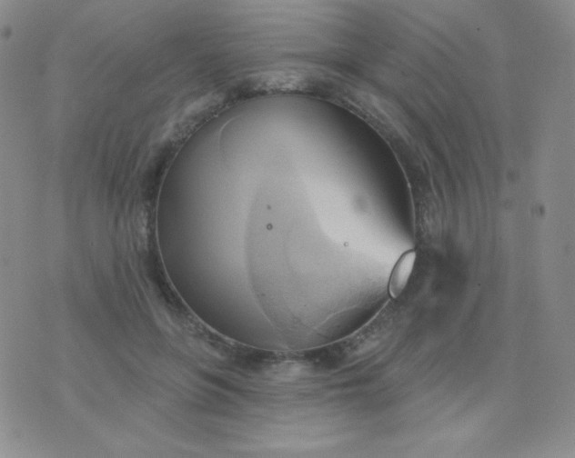 X0000076220551200610122052