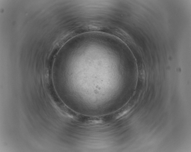 X0000076220552200610122052