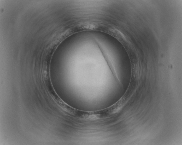 X0000076220553200610122052