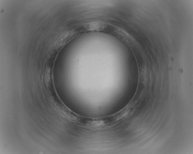 X0000076220554200610122052