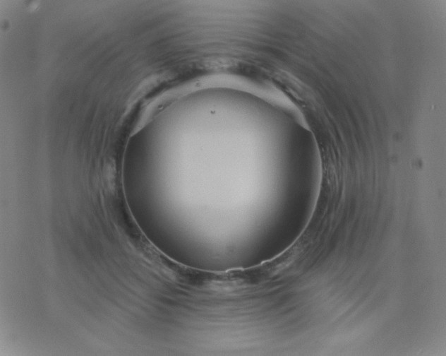 X0000076220556200610122053