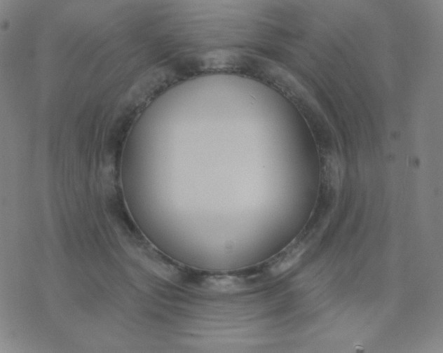 X0000076220557200610122053