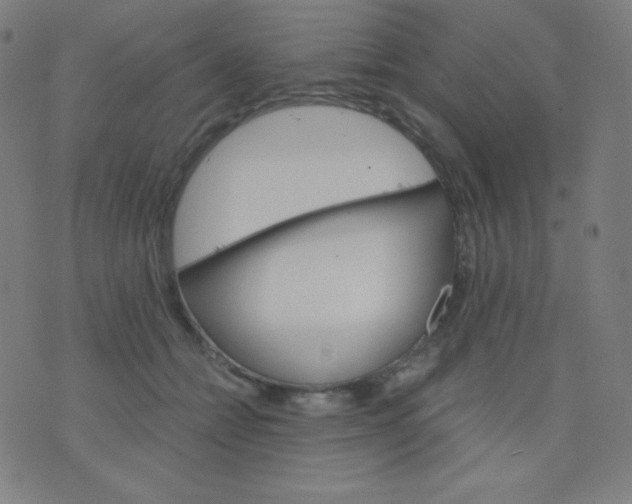 X0000076220558200610122053