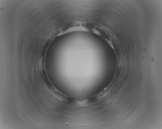 X0000076220560200610122053