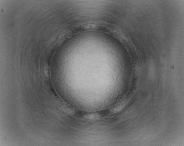 X0000076220561200610122053