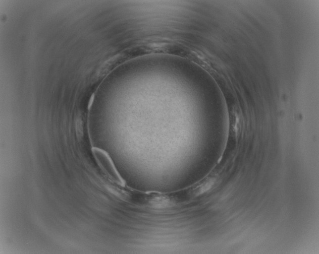 X0000076220562200610122053