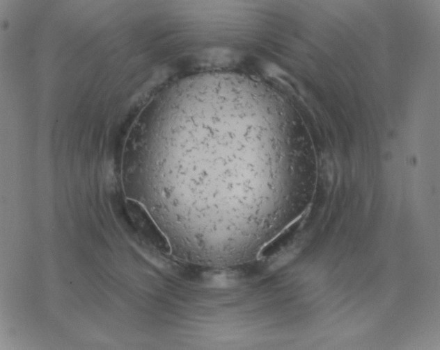 X0000076220564200610122053