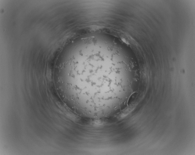 X0000076220565200610122053