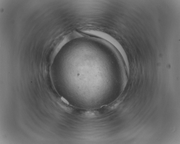 X0000076220566200610122053