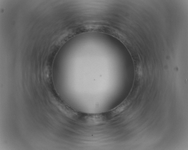 X0000076220567200610122053