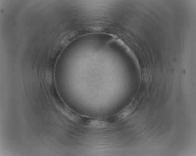 X0000076220568200610122053