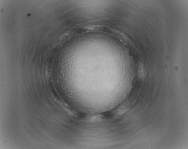 X0000076220569200610122053