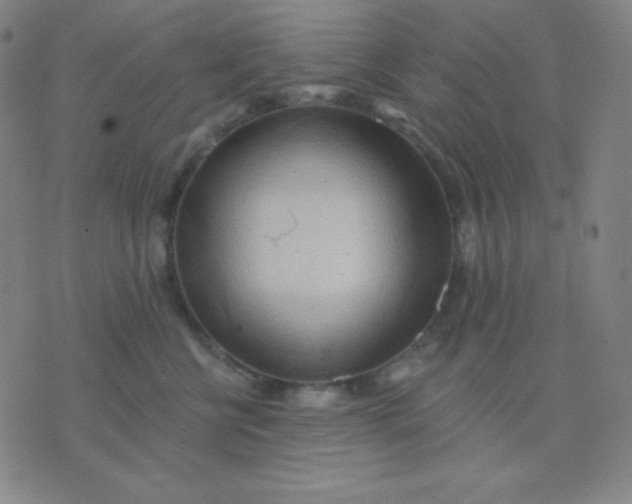 X0000076220570200610122053