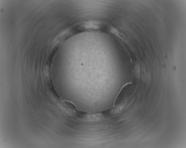 X0000076220571200610122053