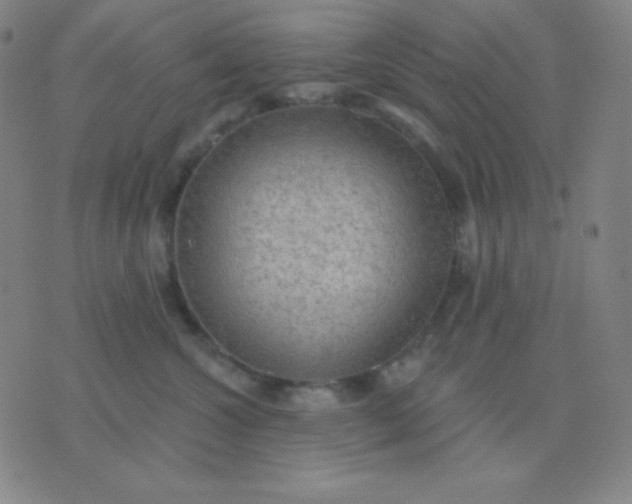 X0000076220572200610122053