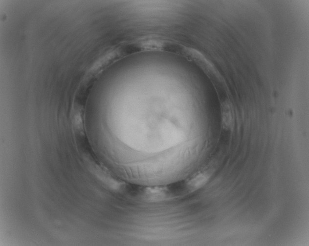 X0000076220573200610122053