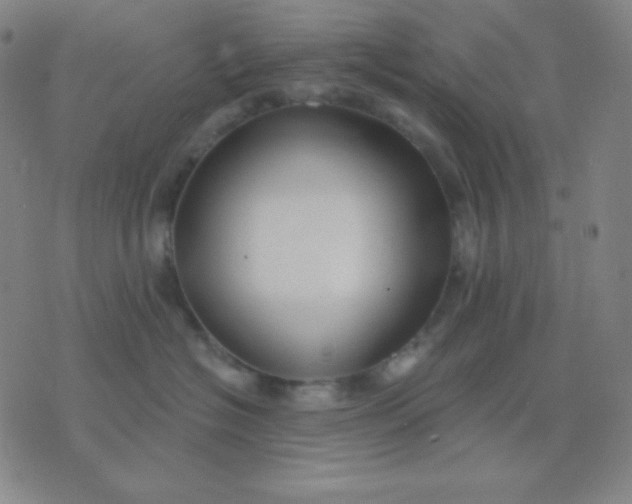 X0000076220574200610122053