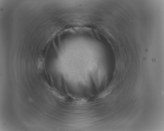 X0000076220576200610122053