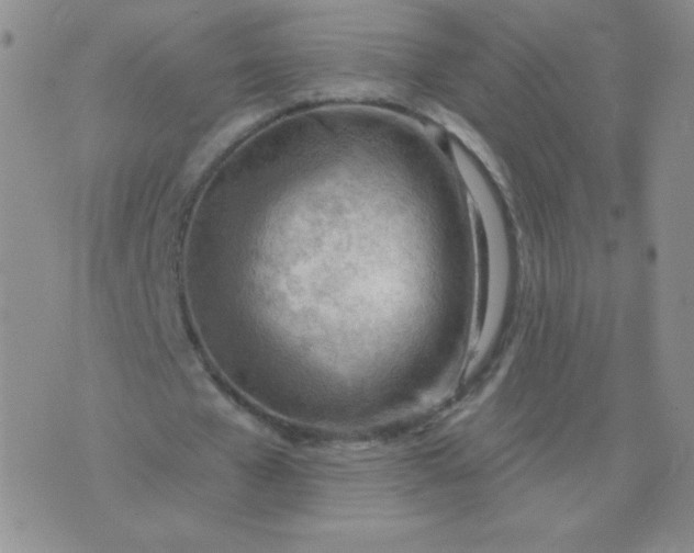 X0000076220577200610122052