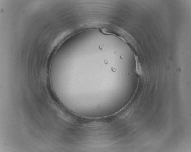 X0000076220578200610122052