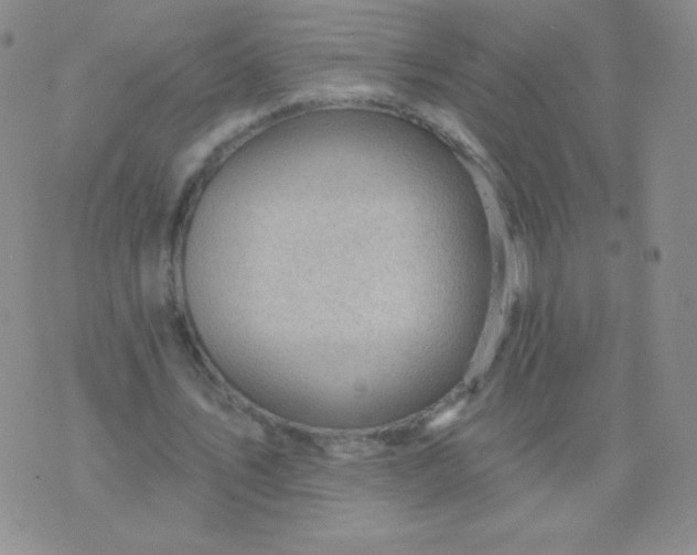 X0000076220579200610122052