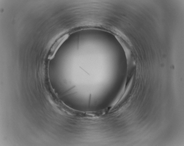 X0000076220580200610122052