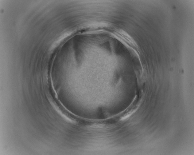 X0000076220581200610122052