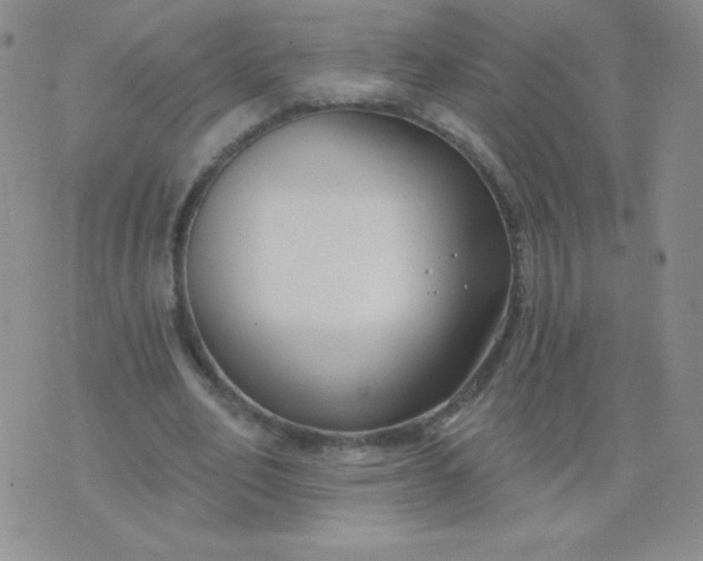 X0000076220582200610122052