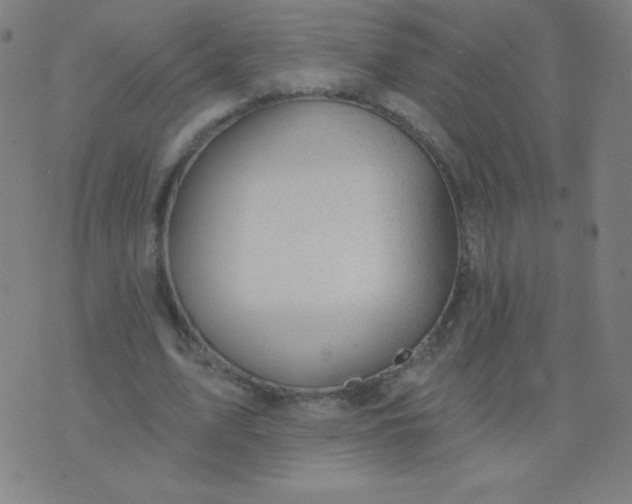 X0000076220583200610122052